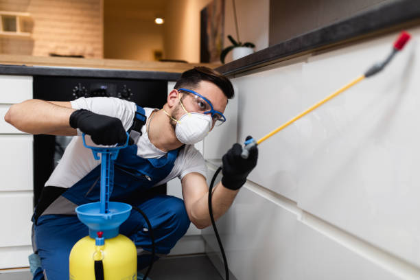 Best Flea Control Services  in Cherokee, NC