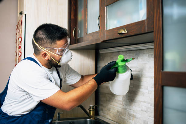 Best Residential Pest Control  in Cherokee, NC