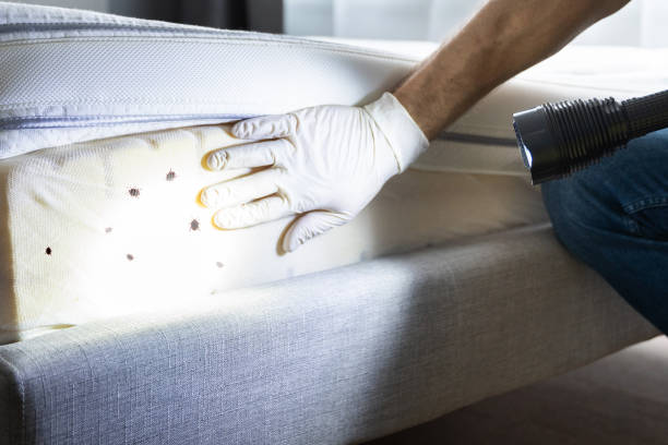 Best Affordable Pest Control Services  in Cherokee, NC