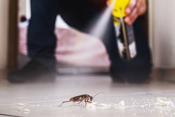 Cherokee, NC Pest Control Company