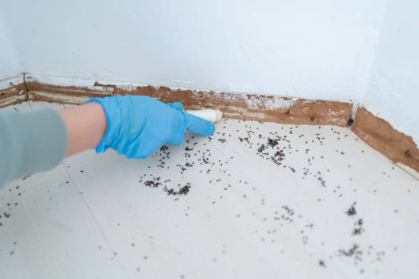 Best Pest Removal Services  in Cherokee, NC